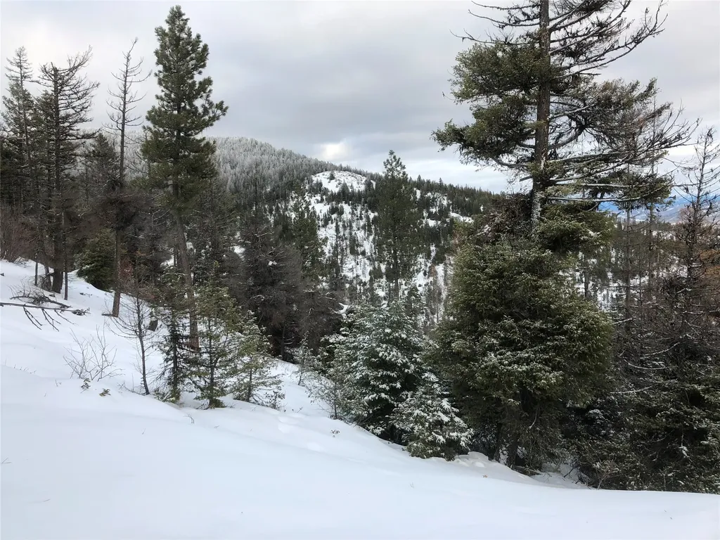 Nhn Clark Hinchwood Road Hot Springs MT 59845