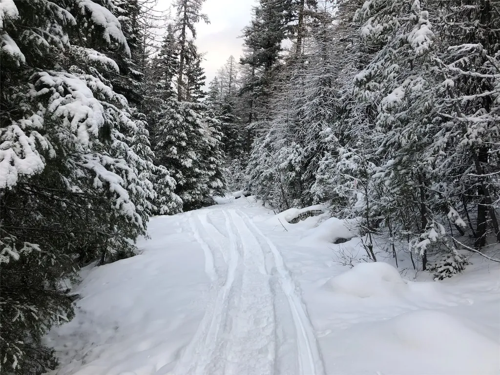 Nhn Clark Hinchwood Road Hot Springs MT 59845