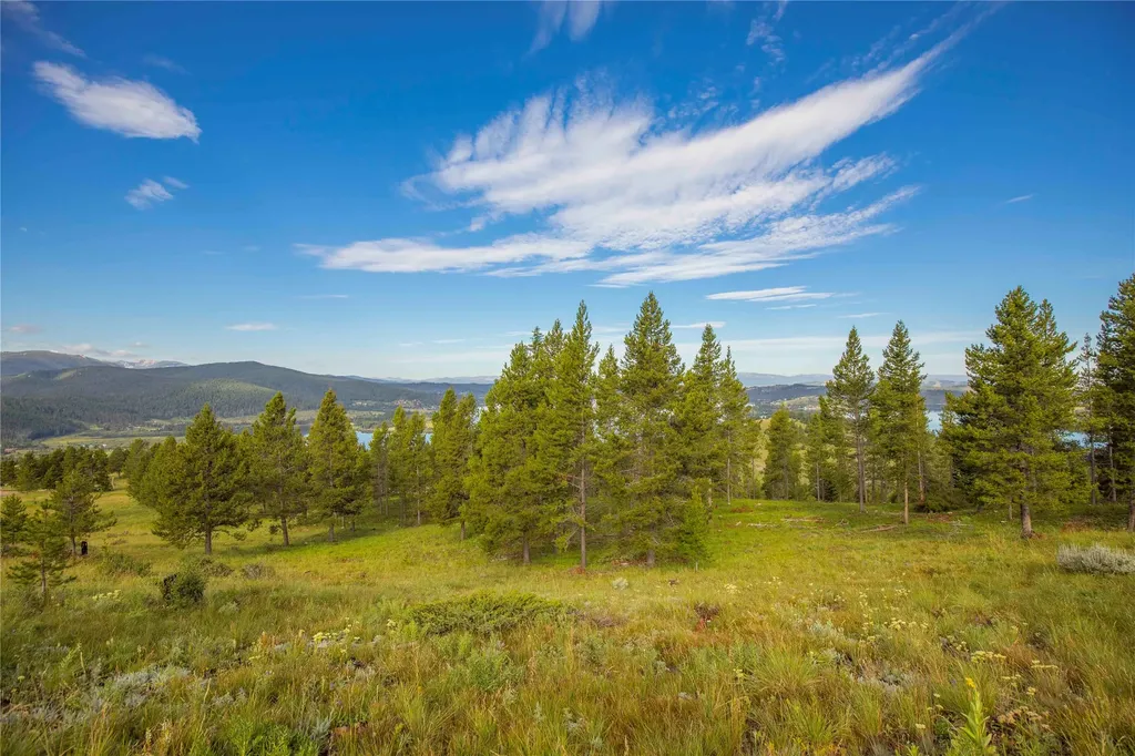 43 Elk Meadows Lane Anaconda MT 59711