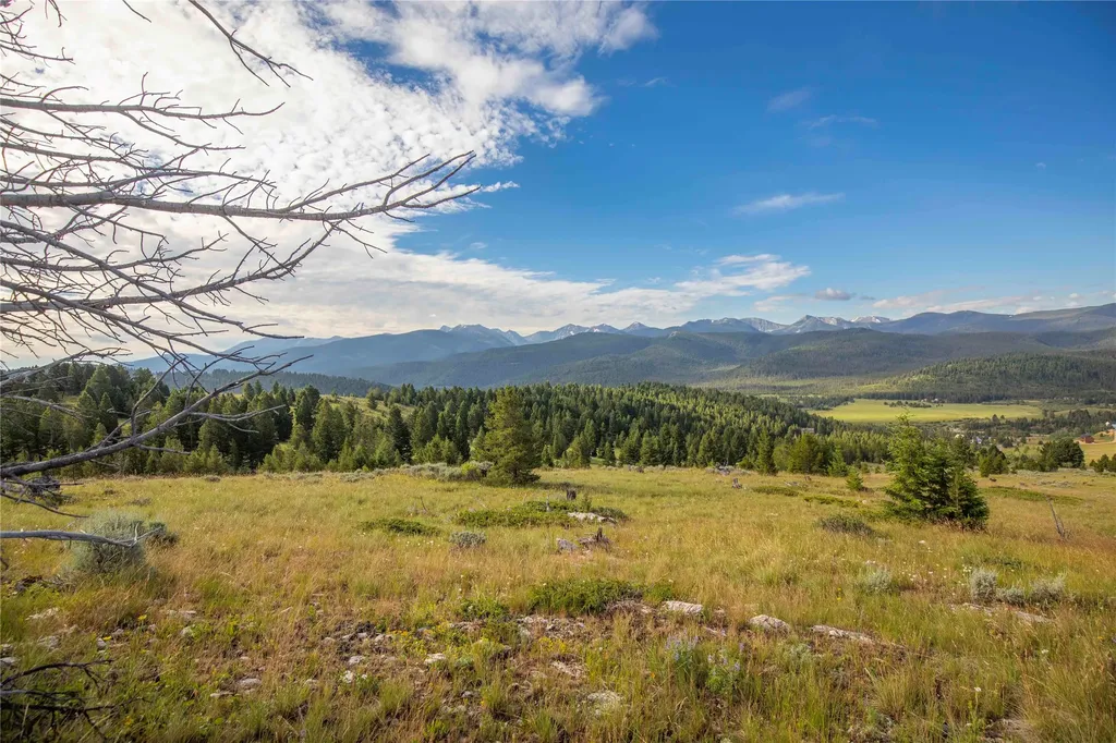 43 Elk Meadows Lane Anaconda MT 59711