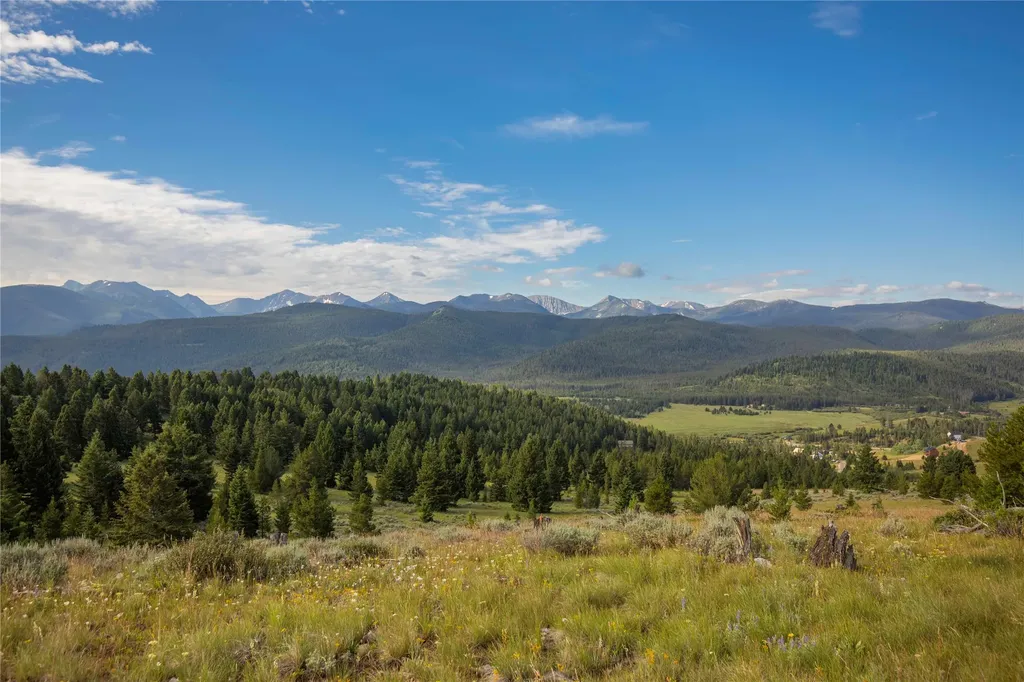 43 Elk Meadows Lane Anaconda MT 59711