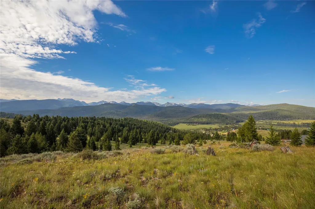 43 Elk Meadows Lane Anaconda MT 59711