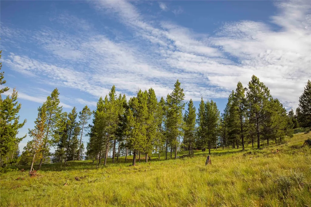 43 Elk Meadows Lane Anaconda MT 59711