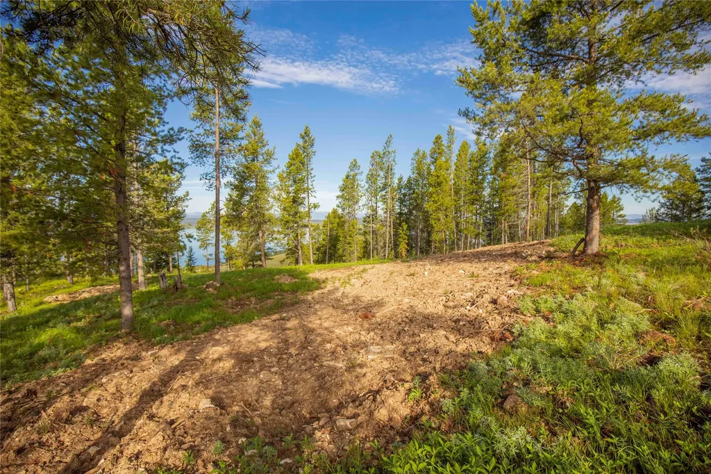 43 Elk Meadows Lane Anaconda MT 59711