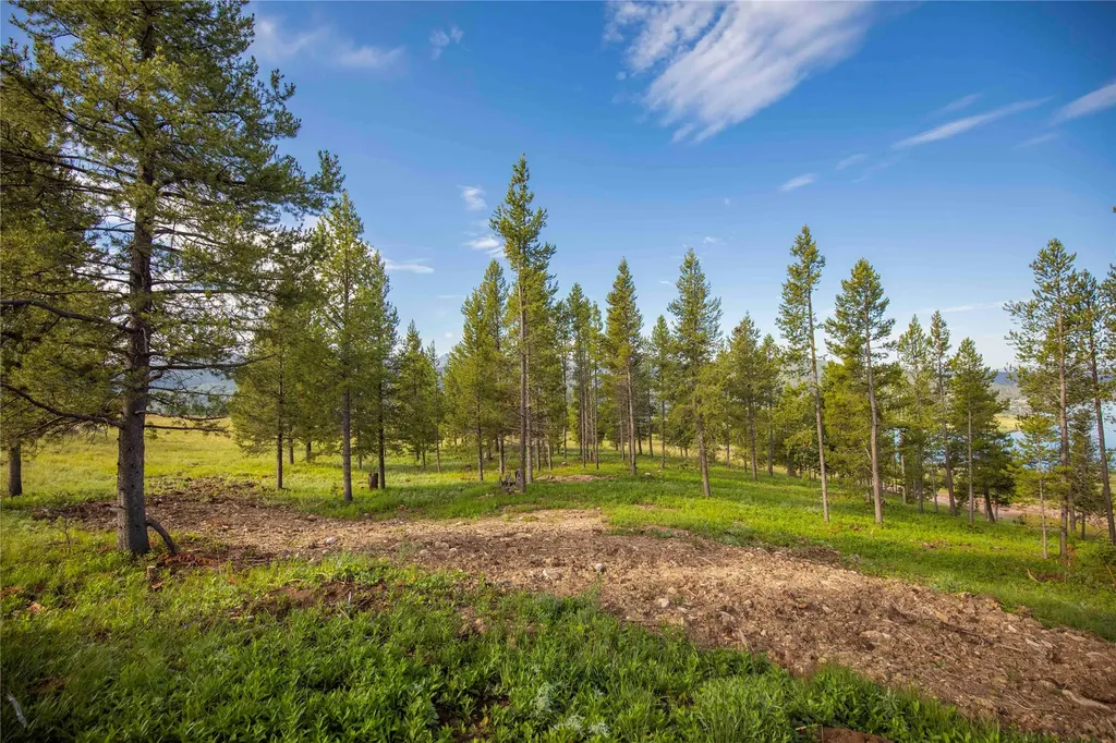 43 Elk Meadows Lane Anaconda MT 59711