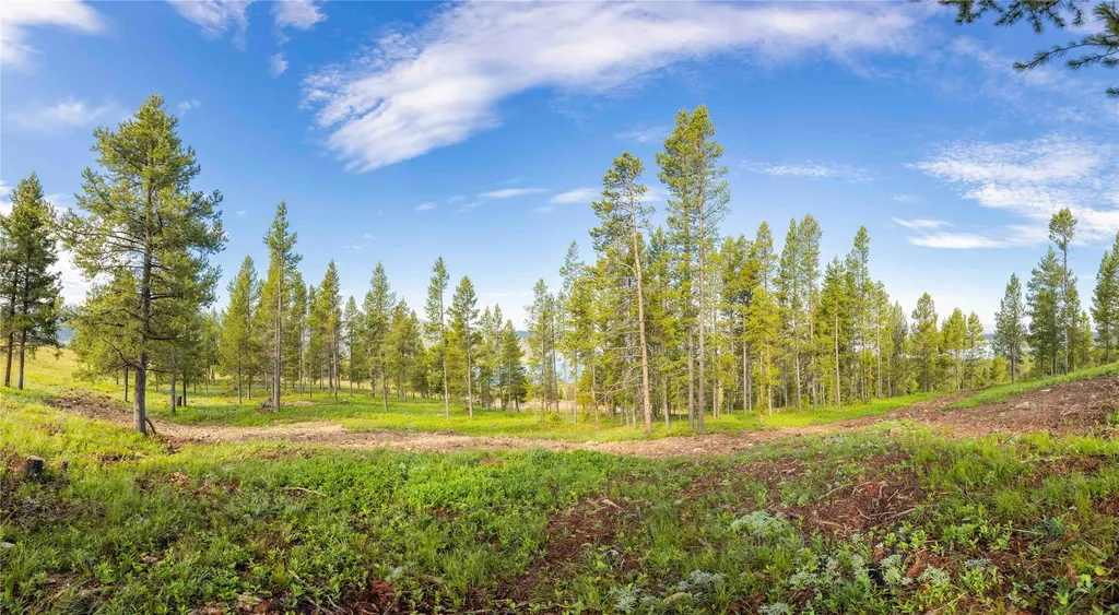 43 Elk Meadows Lane Anaconda MT 59711