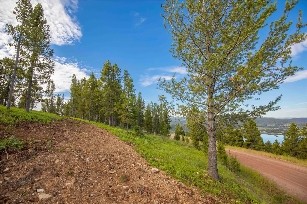 43 Elk Meadows Lane Anaconda MT 59711