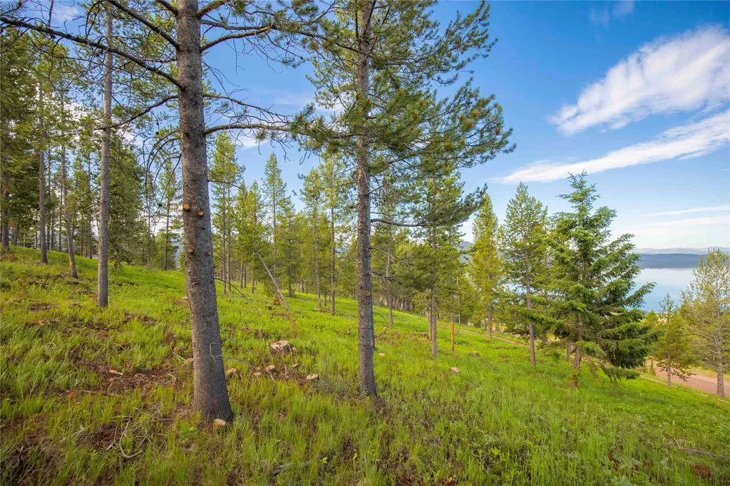 43 Elk Meadows Lane Anaconda MT 59711