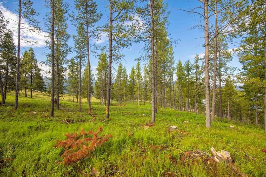 43 Elk Meadows Lane Anaconda MT 59711
