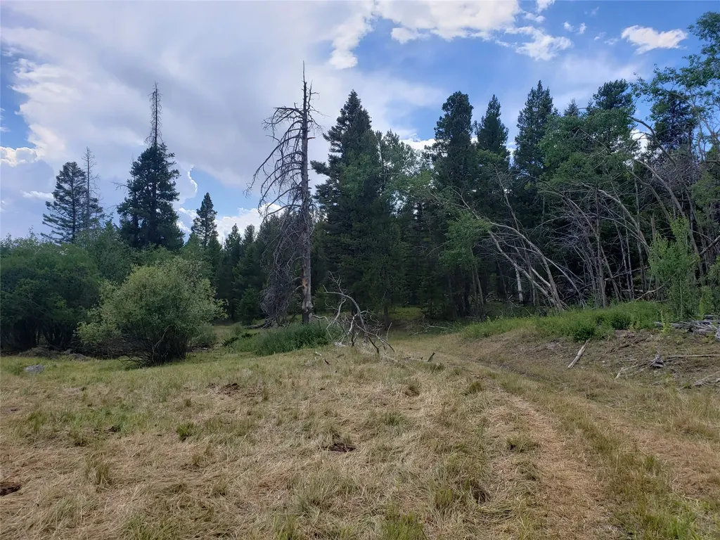 300 Hematite Road Helmville MT 59843