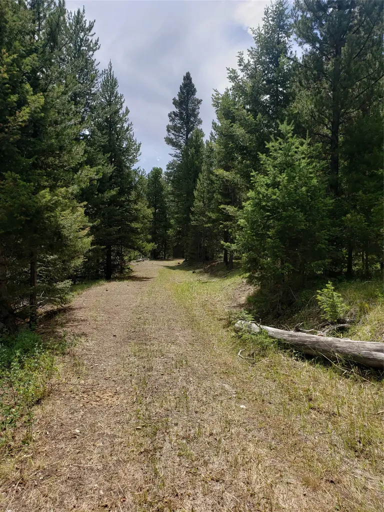 300 Hematite Road Helmville MT 59843