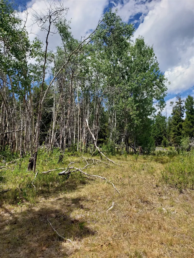 300 Hematite Road Helmville MT 59843