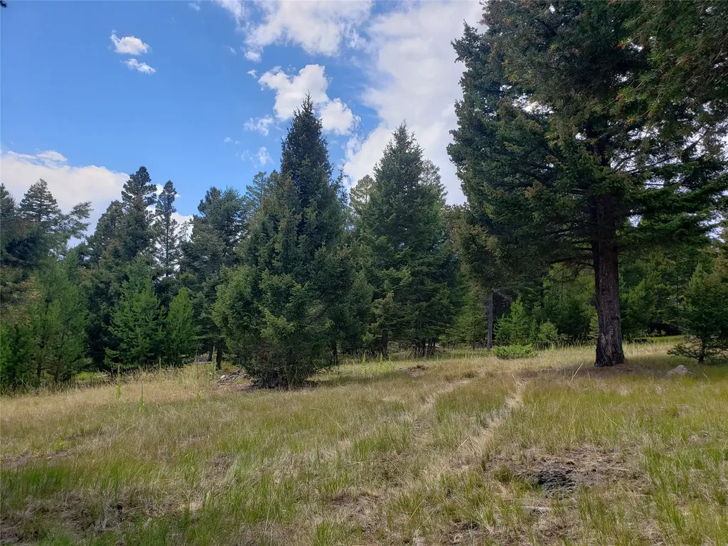 300 Hematite Road Helmville MT 59843