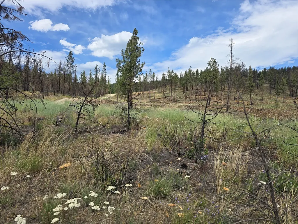 Nhn Mt Highway 28 Plains MT 59859