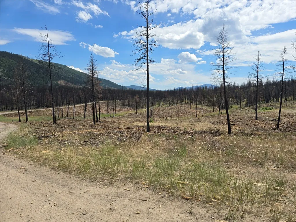 Nhn Mt Highway 28 Plains MT 59859