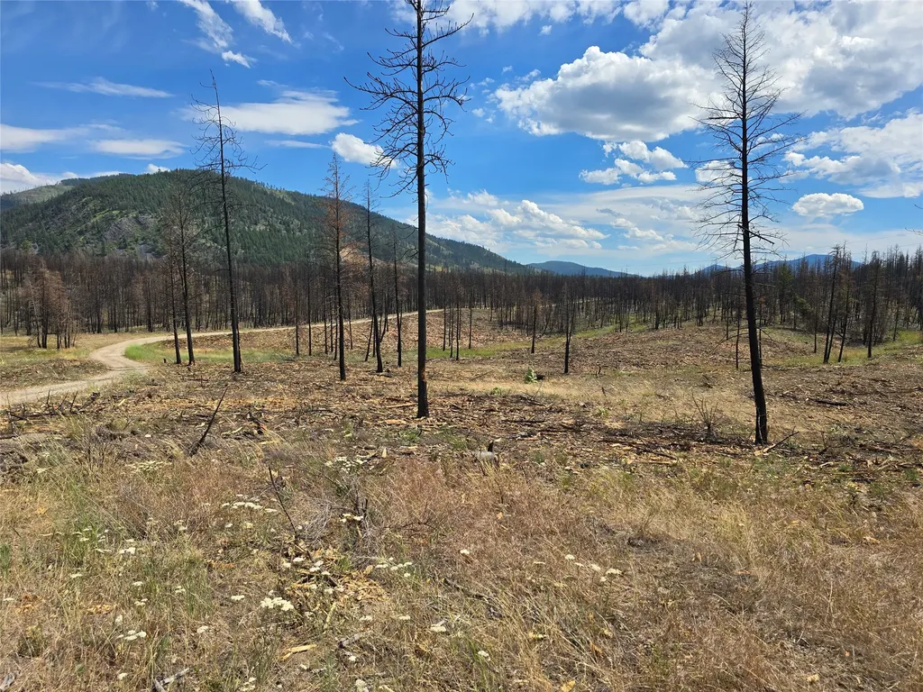 Nhn Mt Highway 28 Plains MT 59859