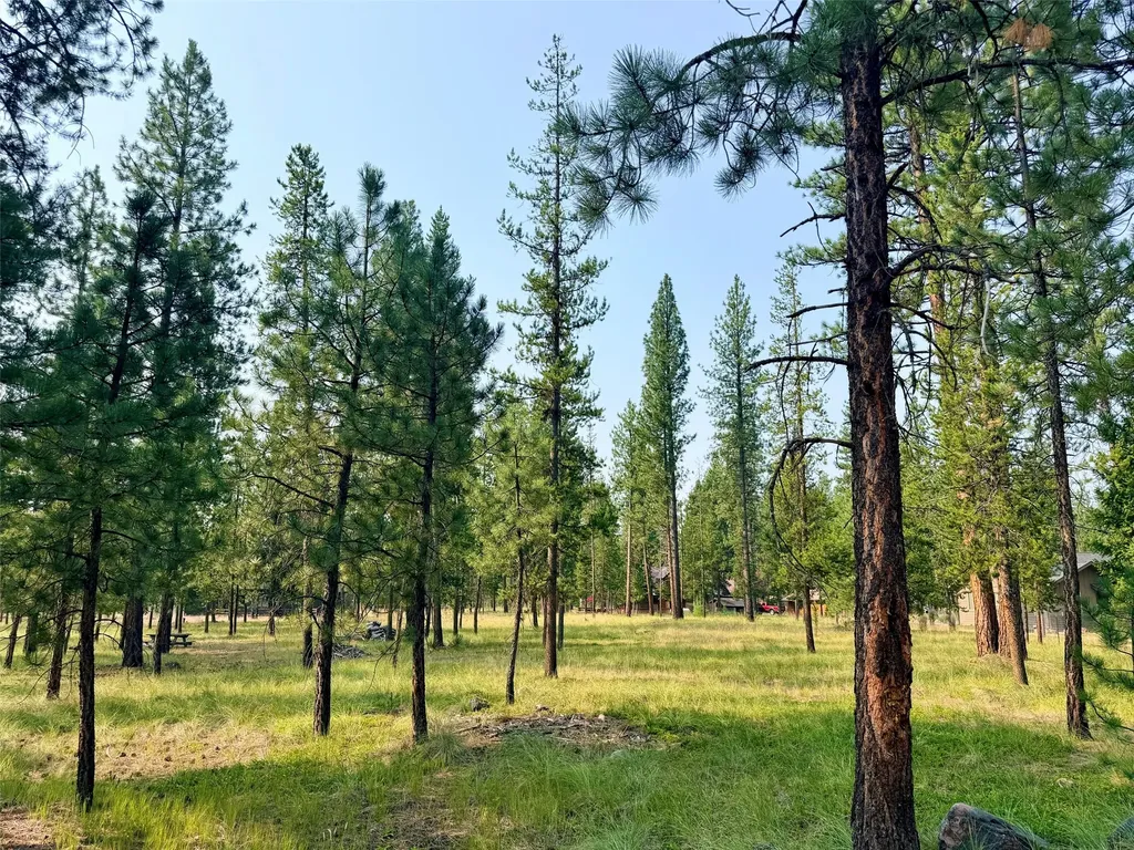 723 Timberlane Seeley Lake MT 59868