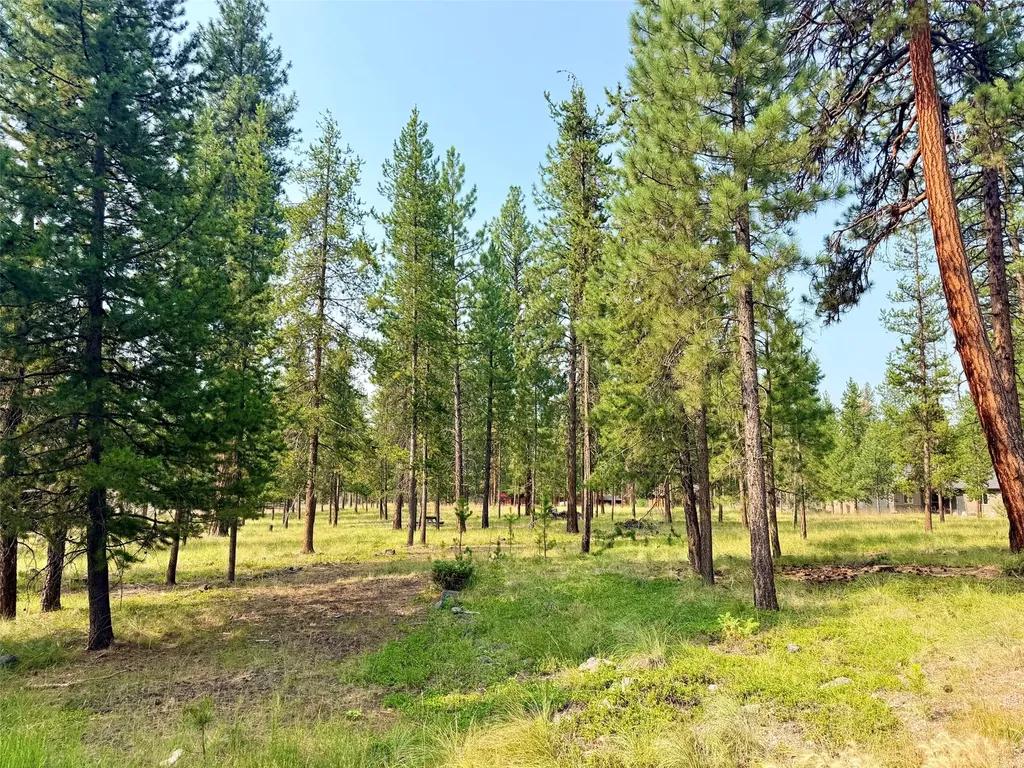 723 Timberlane Seeley Lake MT 59868
