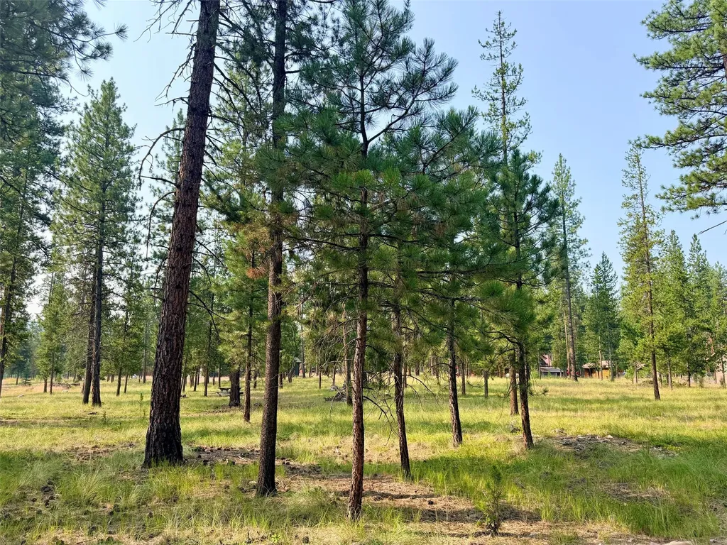 723 Timberlane Seeley Lake MT 59868