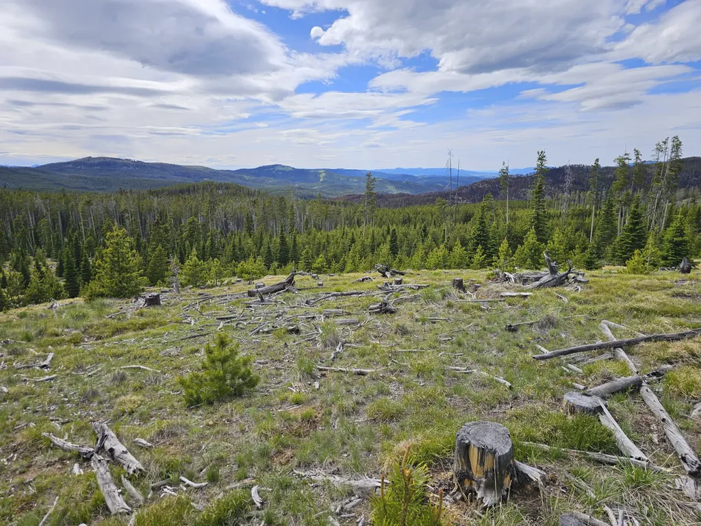 Climax Bullion Parks Road Elliston MT 59728