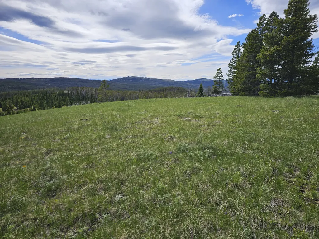 Climax Bullion Parks Road Elliston MT 59728