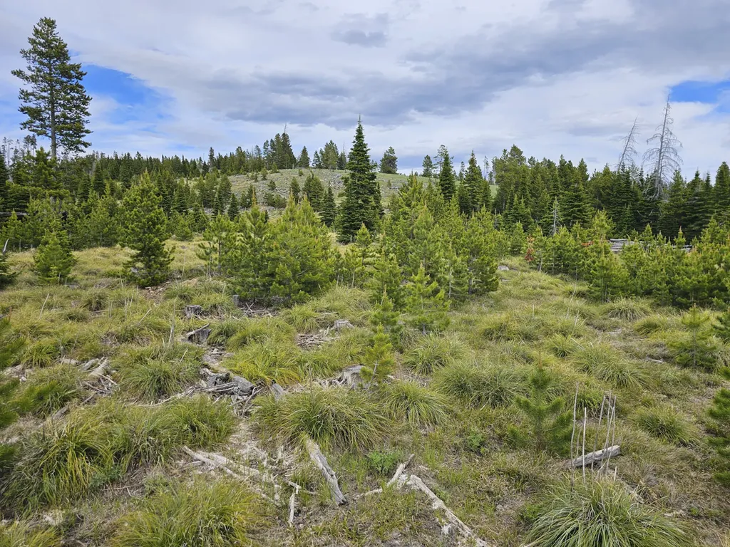 Climax Bullion Parks Road Elliston MT 59728