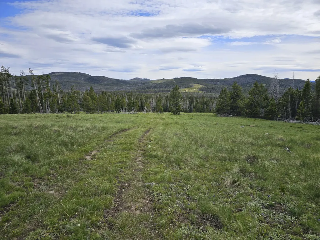 Climax Bullion Parks Road Elliston MT 59728