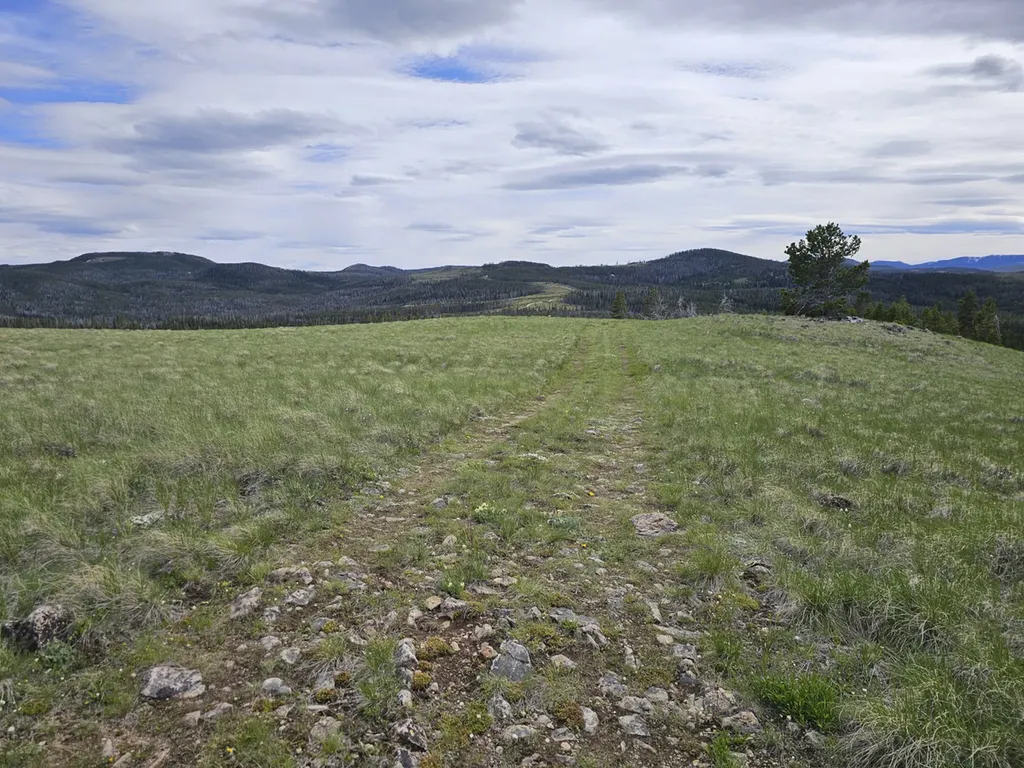 Climax Bullion Parks Road Elliston MT 59728