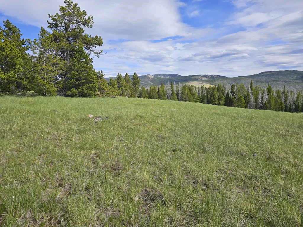Climax Bullion Parks Road Elliston MT 59728