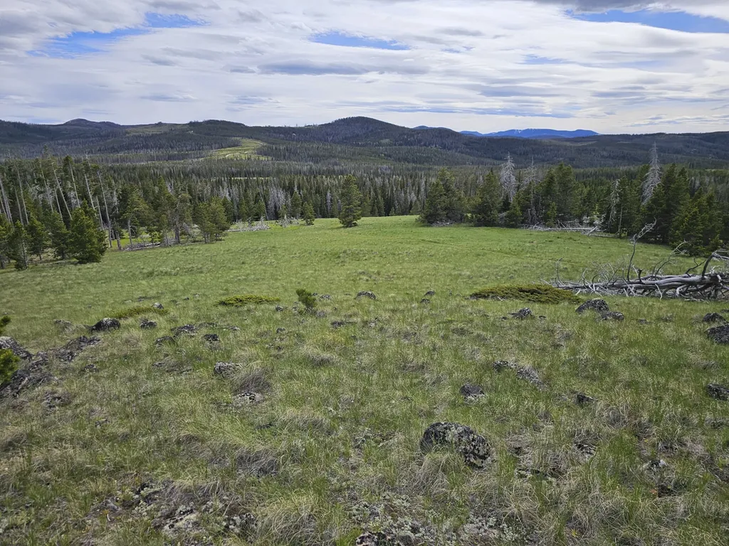 Climax Bullion Parks Road Elliston MT 59728