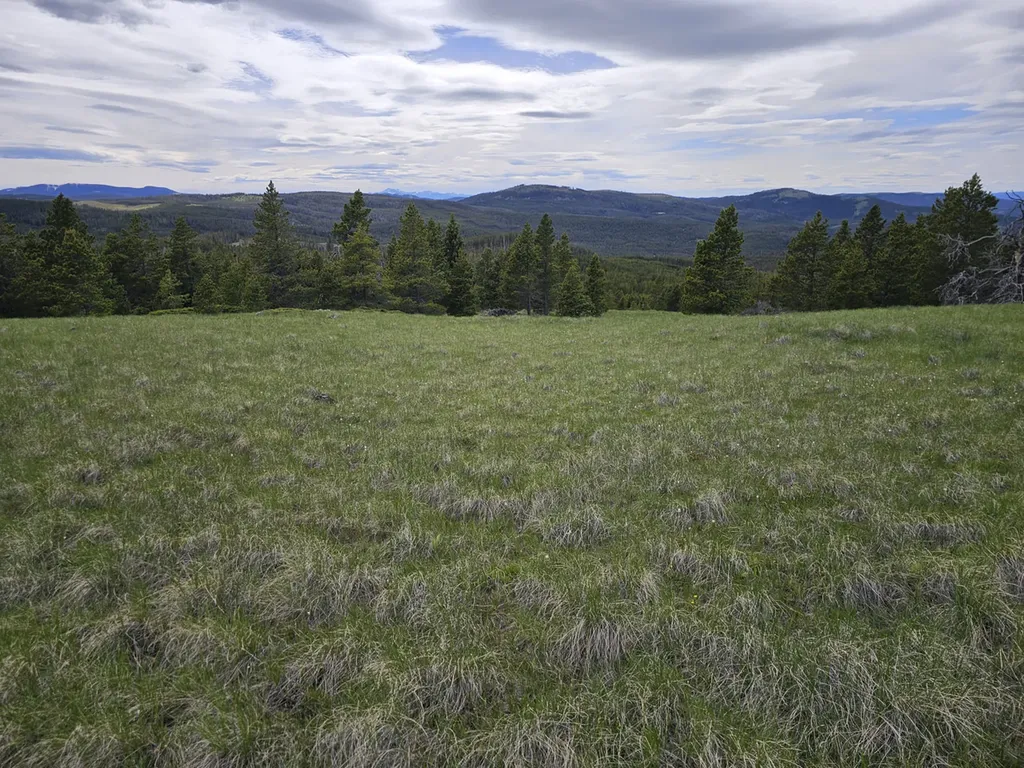 Climax Bullion Parks Road Elliston MT 59728