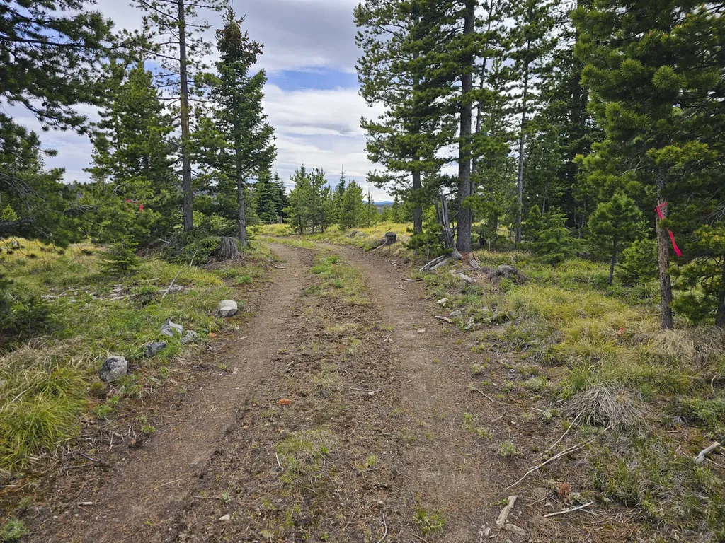 Climax Bullion Parks Road Elliston MT 59728