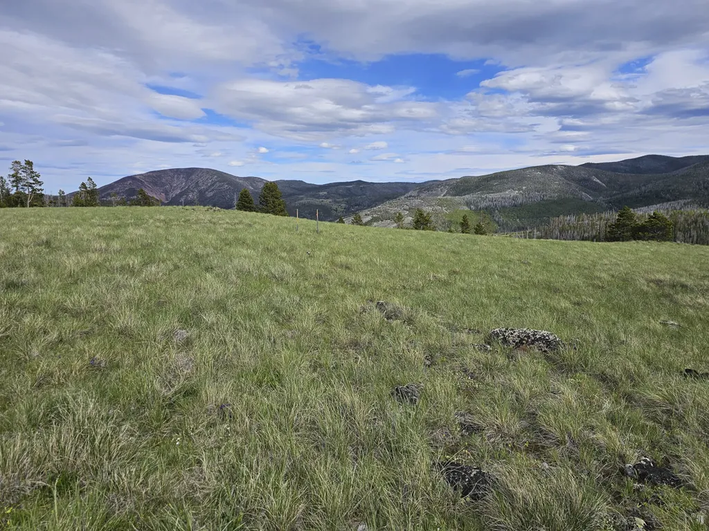 Climax Bullion Parks Road Elliston MT 59728