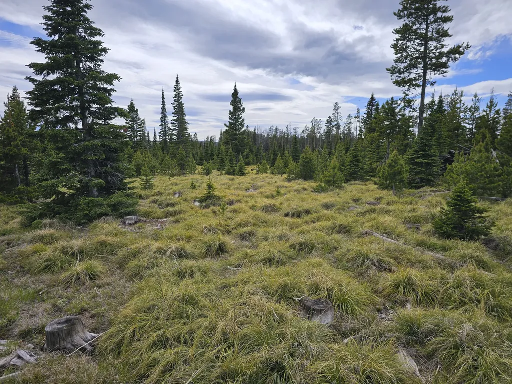 Climax Bullion Parks Road Elliston MT 59728