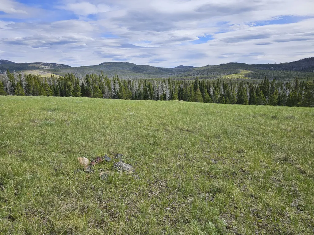 Climax Bullion Parks Road Elliston MT 59728
