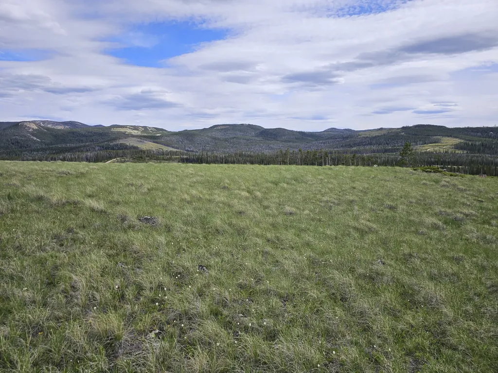 Climax Bullion Parks Road Elliston MT 59728