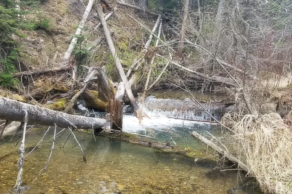 3878 Miller Creek Road Libby MT 59923