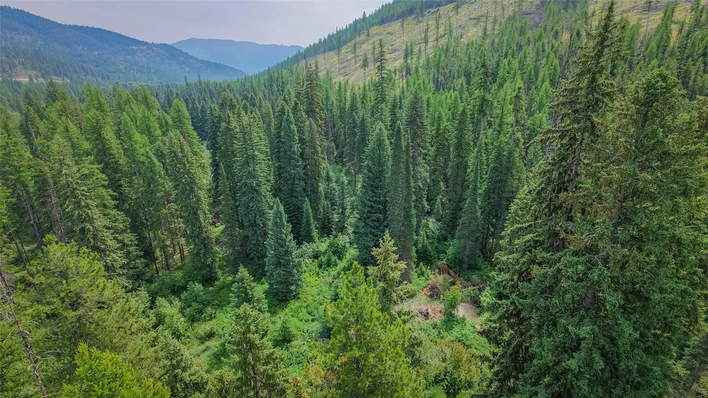 3878 Miller Creek Road Libby MT 59923