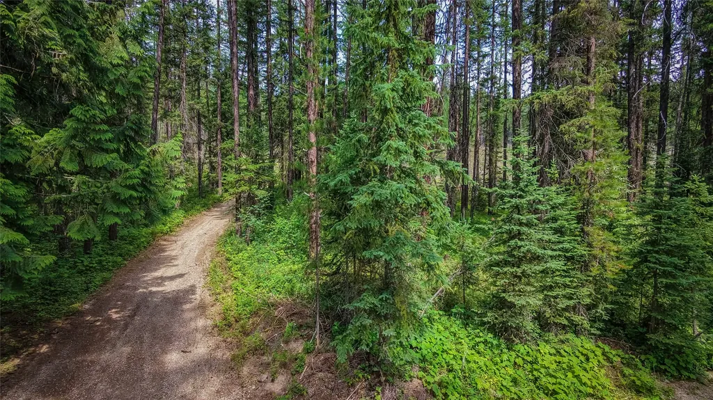 3878 Miller Creek Road Libby MT 59923