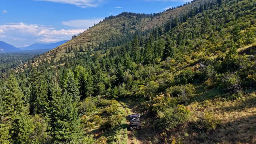 176 Mountain View Road Trout Creek MT 59874