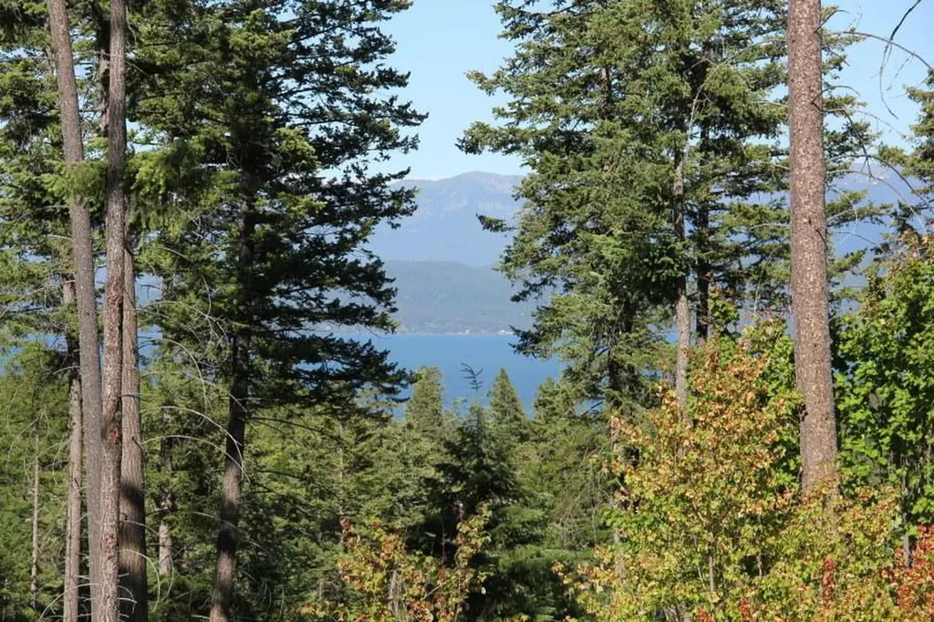 167 Eagles Crest Road Lakeside MT 59922