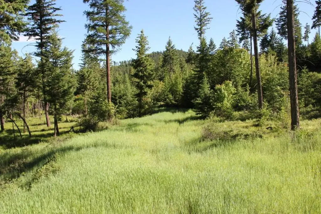 167 Eagles Crest Road Lakeside MT 59922