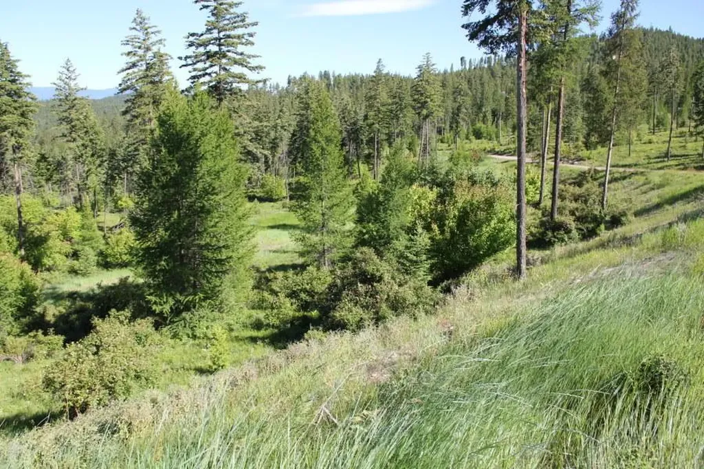 167 Eagles Crest Road Lakeside MT 59922