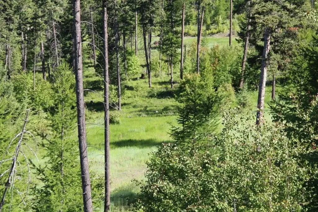 167 Eagles Crest Road Lakeside MT 59922