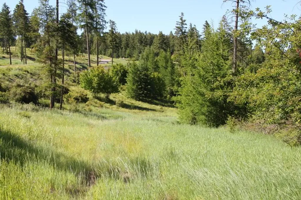 167 Eagles Crest Road Lakeside MT 59922