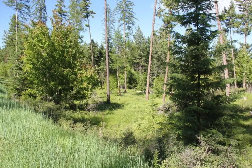 167 Eagles Crest Road Lakeside MT 59922