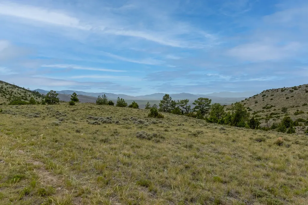 Nhn Milligan Canyon Cardwell MT 59721