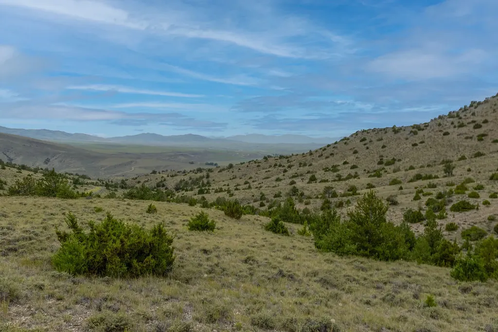 Nhn Milligan Canyon Cardwell MT 59721
