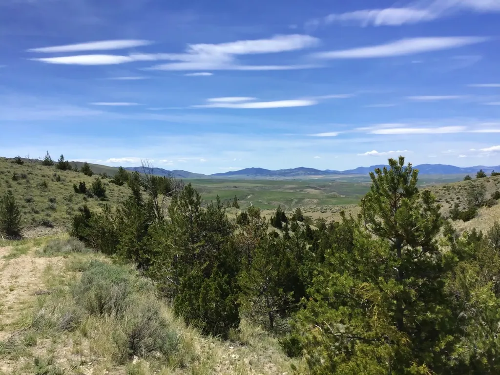 Nhn Milligan Canyon Road Cardwell MT 59721