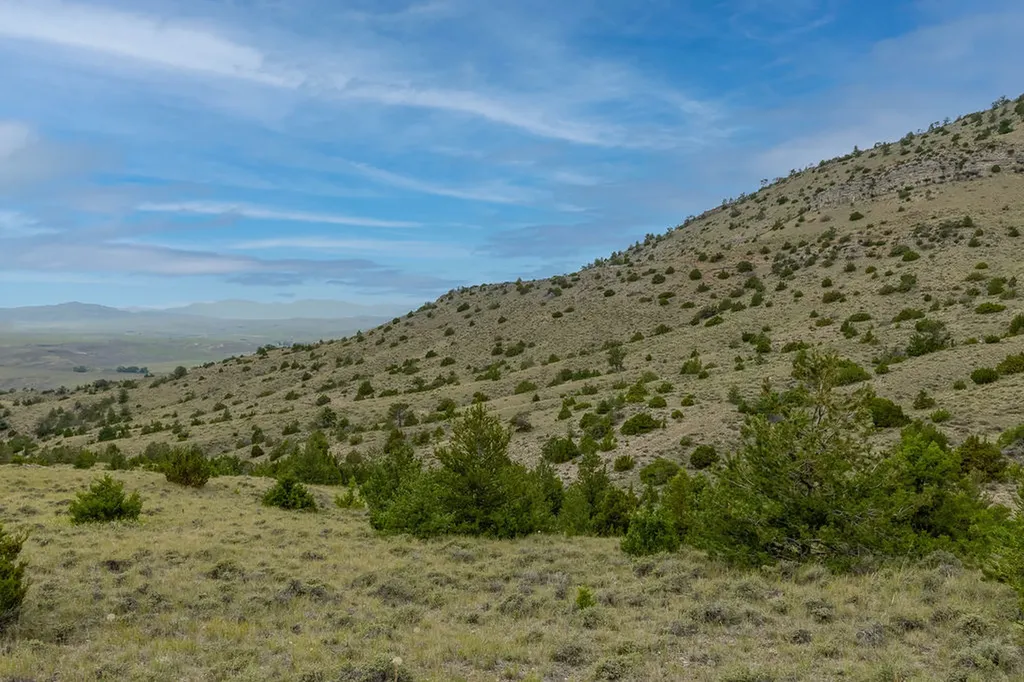 Nhn Milligan Canyon Cardwell MT 59721